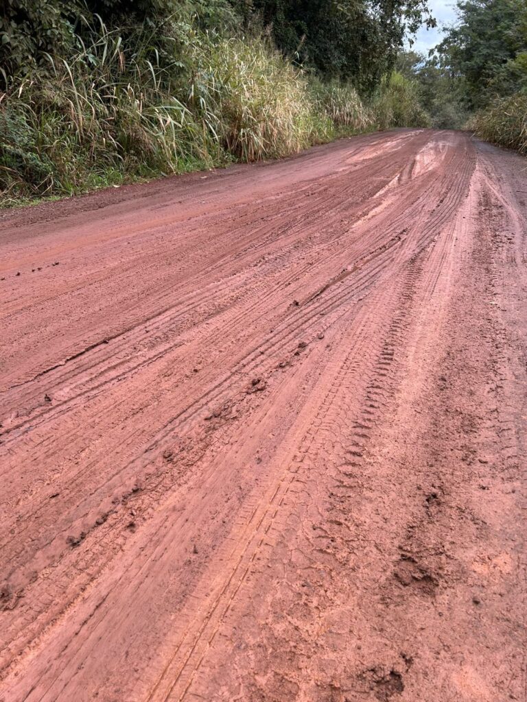 511023049_4439276176299523_8359914971431421937_n